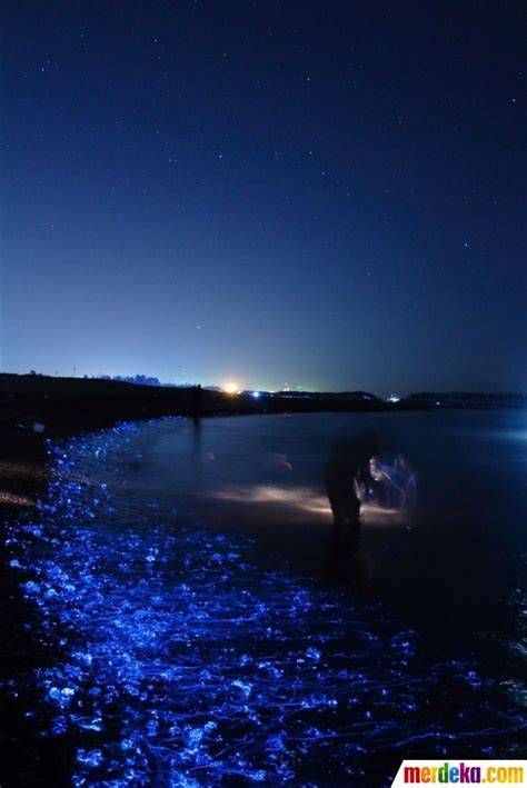 Pantai Malam Hari