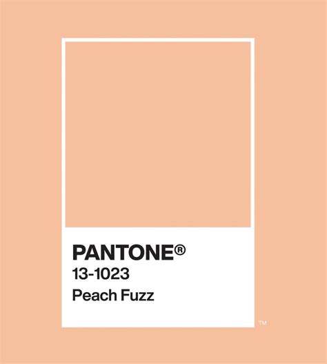 pantone color peach fuzz hex code