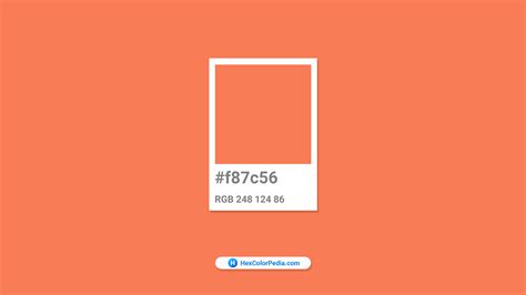 pantone colors 2025 hex code