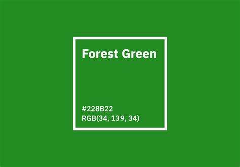 pantone forest green hex code