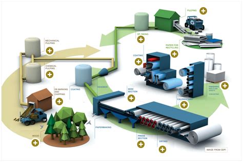 paper making factory