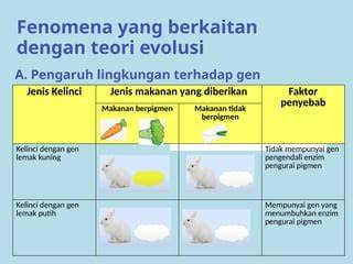 Evolusi Konsep Parlay