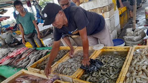 Pasar Ikan Muara Padang