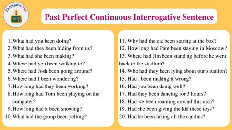past perfect continuous tense interrogative negative sentences examples
