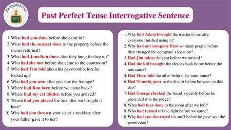 past perfect tense interrogative negative sentences examples with answers