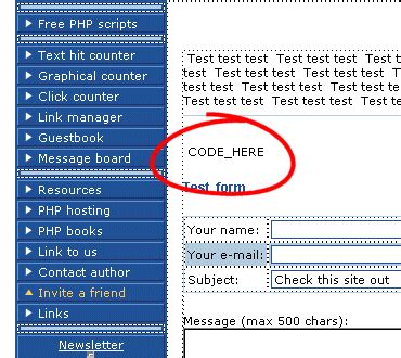paste code in html