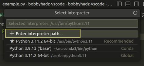 path of python interpreter