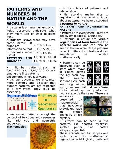 patterns and numbers in nature examples