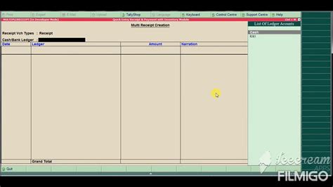 payment entry in tally erp 9 with example
