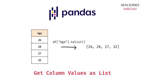 pd dataframe get column values