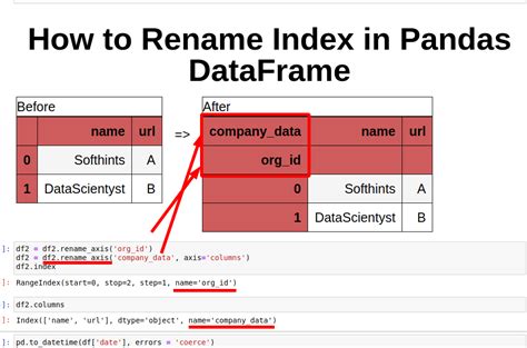 pd dataframe rename index