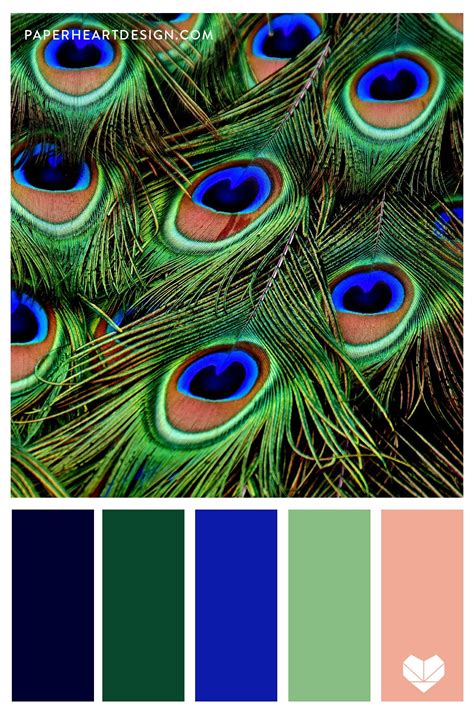 peacock colors hex code