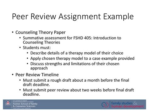 peer review assignment example