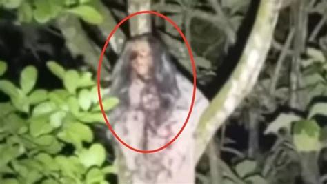 penampakan kuntilanak