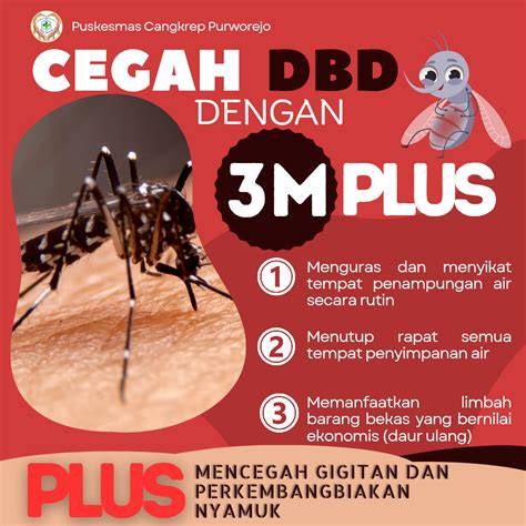pencegahan dbd 3m plus