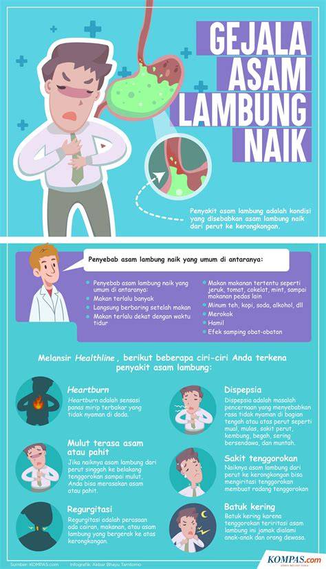 penyebab asam lambung
