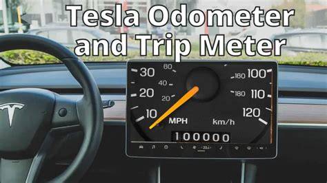 perbedaan odo dan trip