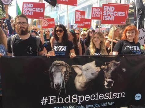 peta