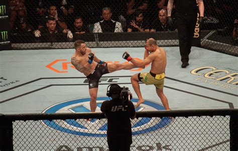petarung ufc