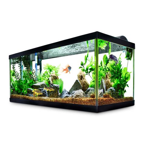 Petco Fish Tank Sale
