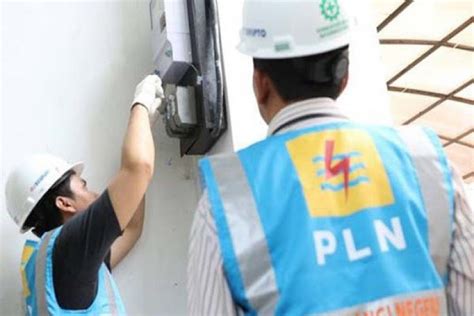 petugas pln