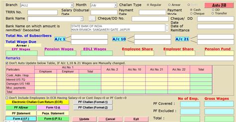 pf challan excel format with formulas