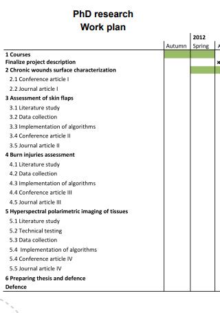 phd work plan example