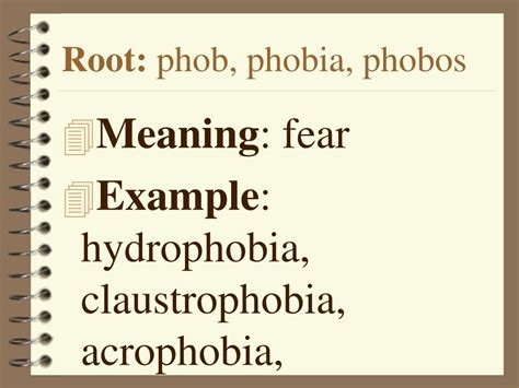 phob root word examples
