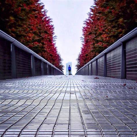 photography perspective