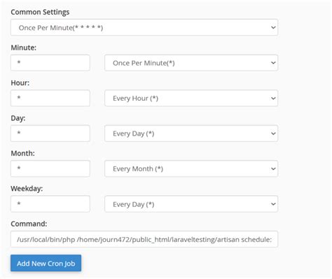 php artisan schedule run cron
