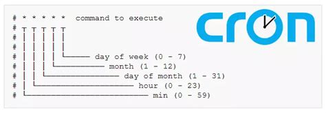 php artisan schedule run vs work