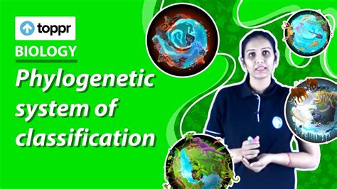 phylogenetic classification class 11th