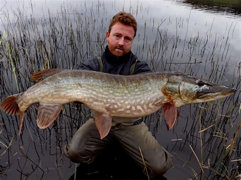 Pike Fishing