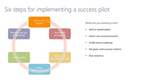 pilot program meaning