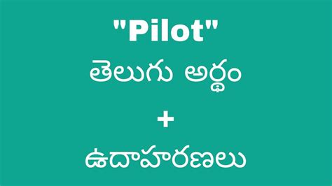 pilot program meaning in telugu
