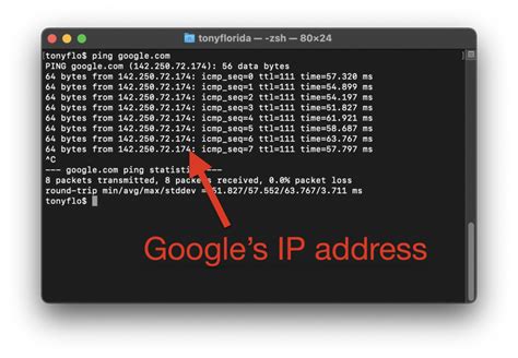ping command example
