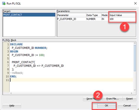 pl sql execute procedure + example
