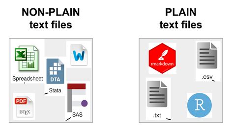 plain text file type