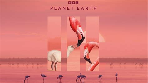 planet bumi