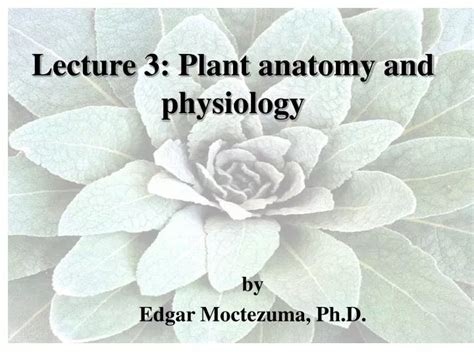 plant physiology topics for presentation