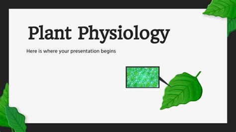 plant physiology topics for presentation slideshare