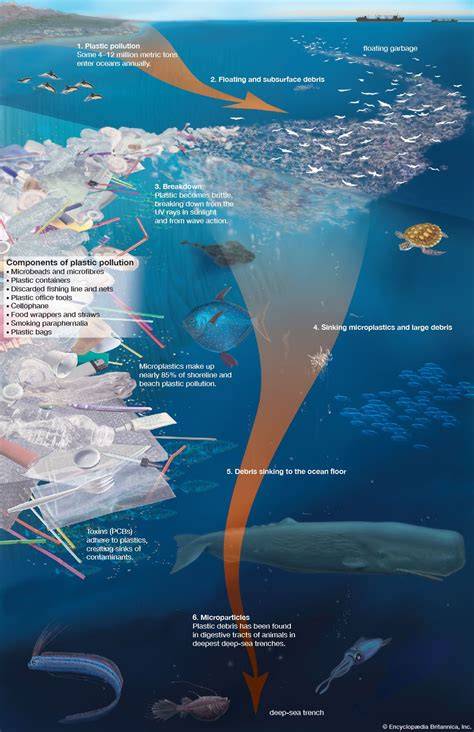 plastic pollution