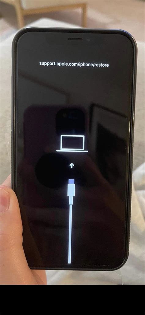 plug iphone into computer screen