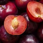 plum fruit