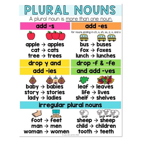 plural of word documentation