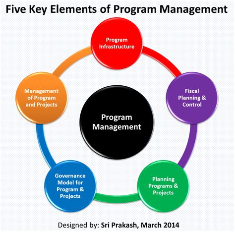 pmi definition of program manager