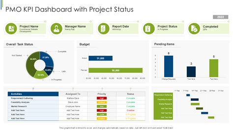 pmo dashboard examples