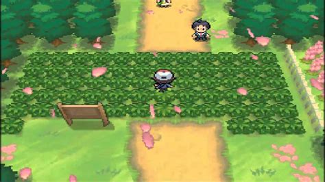 Pokemon Ds Walkthrough