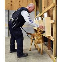 police k9 officer training articles