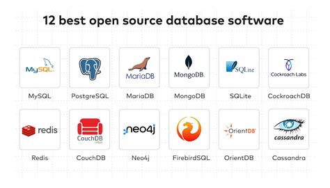 popular open source databases